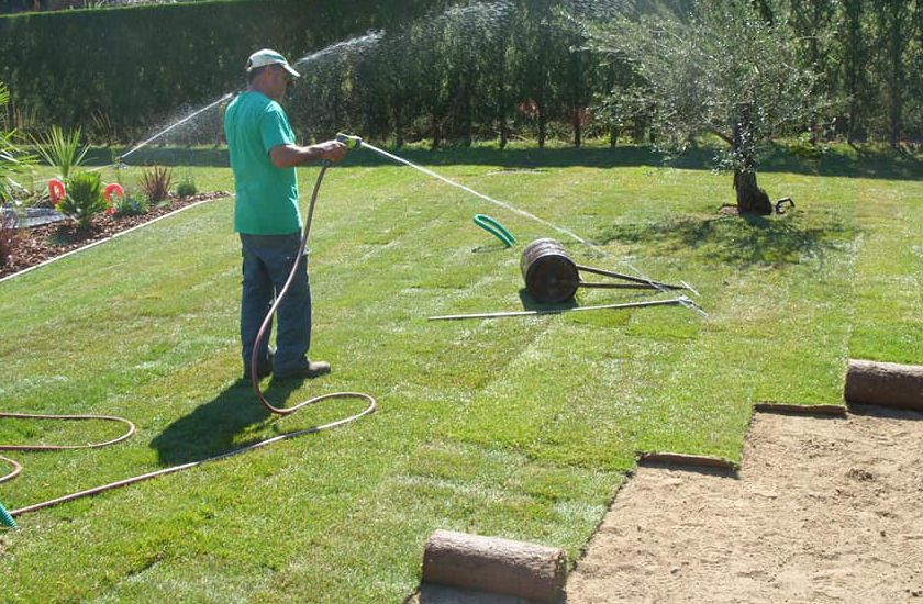 Plantation et Engazonnement